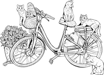 Vintage bicycle with cats and flowers.