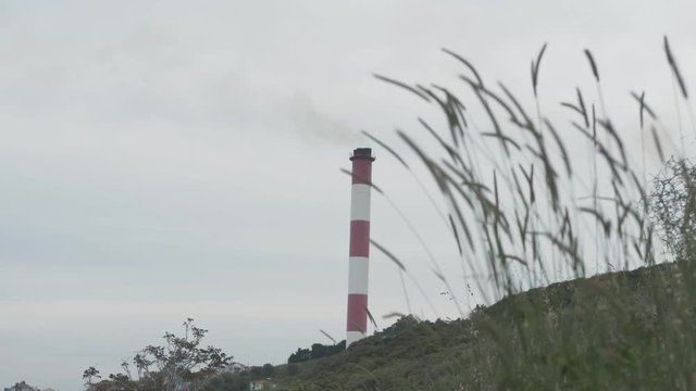 Factory chimney with nature vegetation in foreground