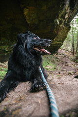 Dog Slaughter Falls Hike in Daniel Boone National Forest in Southern Kentucky