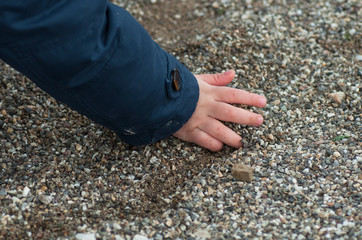 closeup of hand of little boy playing in the land