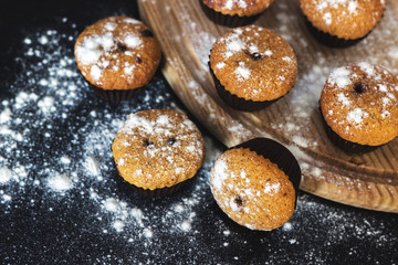 Homemade cupcakes with sugar powder on a black background. Selective focus, top view.