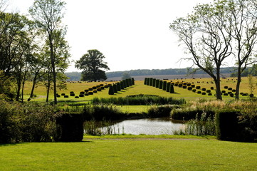 Landschafts- und Rosengarten in Marihn