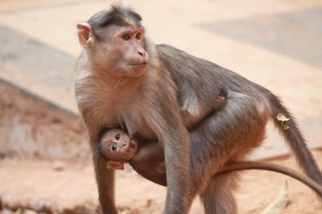 Relationship Between Mother and Child