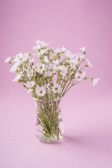 White flowers bouquet in glass vase on pink background