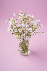 White flowers bouquet in glass vase on pink background