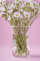 White flowers bouquet in glass vase on pink background