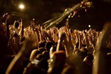 Cheering crowd at music festival.