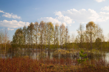 Beautiful spring landscape on the lake.