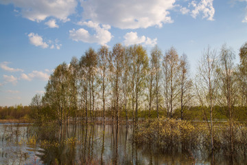 Beautiful spring landscape on the lake.