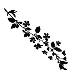 Silhouette of apple or cherry flower with leaf, branch  blossom, vector,  black color, isolated on white background