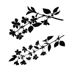 Fototapeta na wymiar Silhouette of apple or cherry flower with leaf, branch blossom, vector, black color, isolated on white background