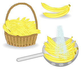 Fototapeta premium Collection. A generous harvest of bananas. Fresh fruits in a basket and washed under running water. The fruit is very tasty and vitamin. Set of vector illustrations