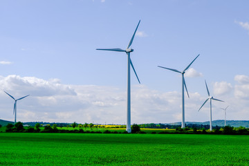 wind turbines in green field