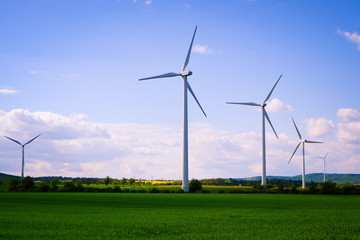 wind turbines in the field