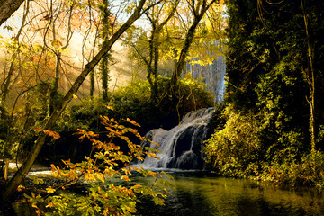Friendship of the wood and water. The river and falls in an environment of the autumn wood, yellow, rest.