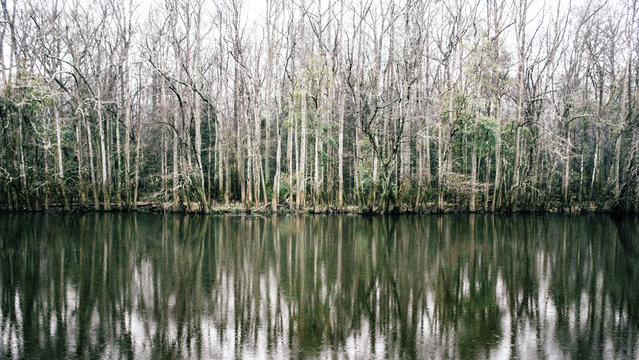 Congaree National Park In South Carolina 