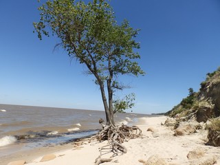 Playa kiyu Uruguay San José