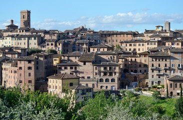 Fototapeta na wymiar scenic view of Siena medieval town on a sunny spring day