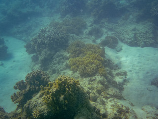 Naklejka na ściany i meble Coral Reef turquoise bay at Cape Range National Park close to Exmouth Australia