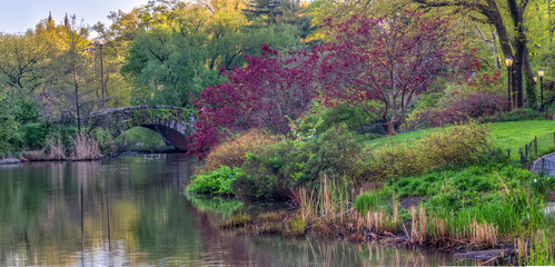 Bow bridge,Central Park, New York Cit