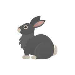 Cute rabbit in cartoon style. Bunny pet silhouette.