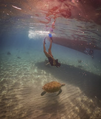  Swimming with turtles  views around the Caribbean island of Curacao