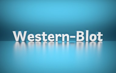 Word Western Blot