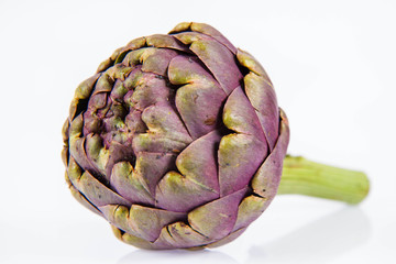 A single artichoke flower on a white background