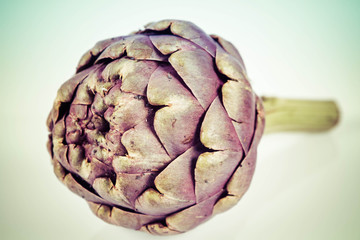 Obraz premium A single artichoke flower on a white background