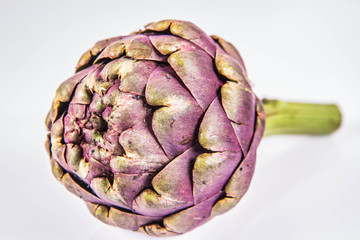 Fototapeta premium A single artichoke flower on a white background