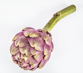 Obraz premium A single artichoke flower on a white background