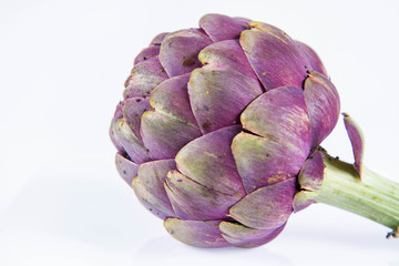 Obraz premium A single artichoke flower on a white background