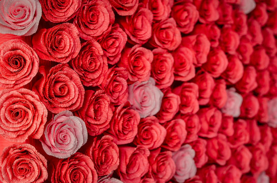 Many red and pink decorative roses background. Selective focus.