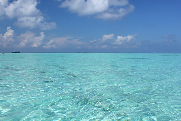 Mare maldiviano in Biyadhoo island, Maldives