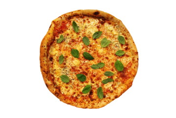 cheese pizza with Fresh Basil on white background,Pizza with Mozzarella cheese, Italian pizza. Pizza Margherita or Margarita, Italian food 