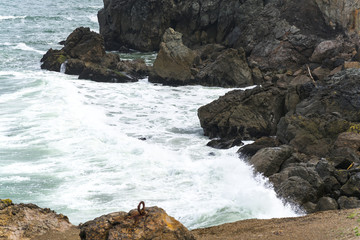 Spring Impressions from the Lands End in Golden Gate Recreation Area in San Francisco