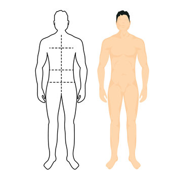 Man anatomy silhouette size. Human body full measure male figure waist, chest chart template