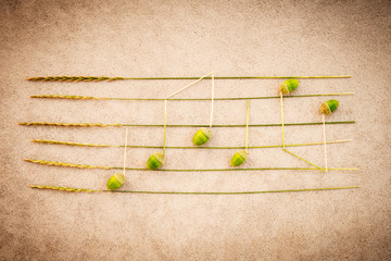 Music notes made of acorns and grass on retro background