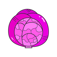 Purple Cabbage Is A Healthy Vegetable Flat Trend Vector Illustration