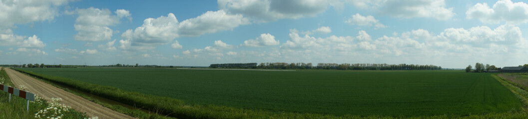 dutch landscape