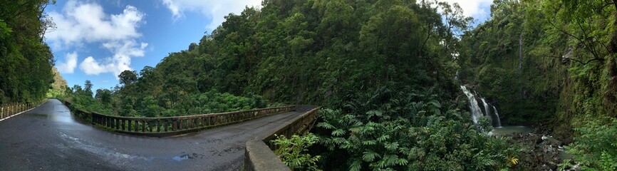 Fototapeta na wymiar Hana Jungle Falls Panorama
