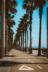 The Californian dream along the coast of Barcelona lined with Palm in summer - Barcelona, Spain
