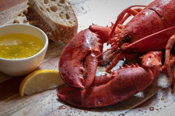 Freshly cooked lobster with garlic lemon butter and homemade rustic bread.