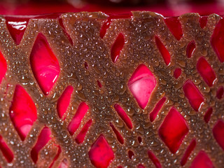 Image background texture of the chocolate mesh on the cake