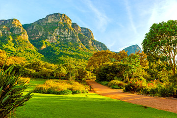 Obraz premium Narodowy Ogród Botaniczny Kirstenbosch w Kapsztadzie, RPA