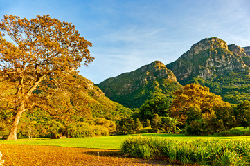 Kirstenbosch National Botanical Garden in Cape Town, South Africa