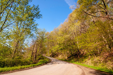 Fototapeta na wymiar A winding road through the woods in Warren County, Pennsylvania, USA on a bright spring day