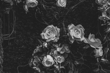 Beautiful vintage roses Is a picture of a black rose Beautiful patterns for making various media