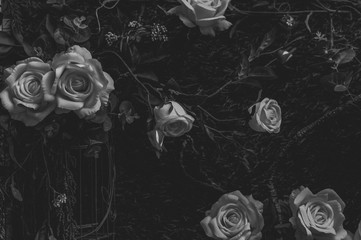 Beautiful vintage roses Is a picture of a black rose Beautiful patterns for making various media