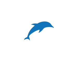 Dolphin logo icon vector